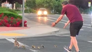 Trágico: bajó a ayudar a cruzar la calle a una familia de patos y murió atropellado
