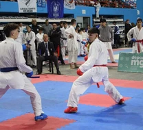 El torneo tendrá la participación de las entidades de karate más representativas de Mar del Plata y la región. Foto archivo.