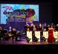 Opus XV y un concierto legendario