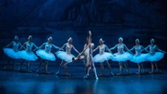La magia del Ballet de San Petersburgo llega a Mar del Plata