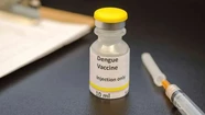 Dengue: el Gobierno empezará a vacunar en zonas endémicas del país