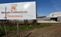 El mercado frutihortícola de Chascomús venderá únicamente al mercado mayorista.