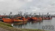 Ley de pesca: "Que hagan bien las cosas porque se pueden encontrar con todos los puertos parados"