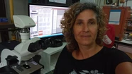 María Alejandra Rossin, la investigadora que estudia animales con "mala fama"
