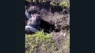 Video: profanaron una tumba del Cementerio Parque y dejaron los restos óseos a la vista