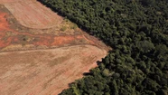 La deforestación en Brasil en 2022 equivale a más de 13 veces la ciudad de San Pablo