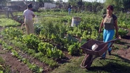 Trabajadores de la tierra pusieron en duda el proyecto de huertas comunitarias de Arroyo