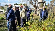 En alusión a los JJOO de Tokio, japonenes donan 2020 árboles sukura en Chascomús