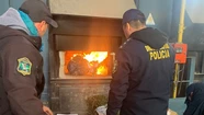 En Mar del Plata quemaron drogas secuestradas de distintas causas.