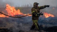 75 bomberos debieron intervenir en la reserva de Mar Chiquita.