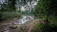 Femicidio de Cecilia Strzyzowski: encuentran nuevos restos óseos en el río Tragadero