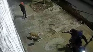 El perro se abalanzó sobre los ladrones, que le apuntaron con un arma a su dueño. 