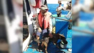 Pescador australiano y su perra lograron sobrevivir 3 meses a la deriva en medio del océano Pacífico