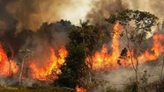 El incendio en el Amazonas llegó a Perú, Bolivia y Ecuador