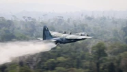 Fuerzas Armadas de Brasil intentan apagar el fuego en el Amazonas