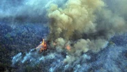 El humo del voraz incendio en el Amazonas llegará a Mar del Plata