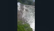 Video: la rotura de un caño de agua creó un “arroyo” en el Bosque Peralta Ramos 