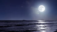 La Superluna de Esturión podrá verse en Mar del Plata