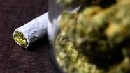 Para el 43% de los adolescentes de Chascomús es fácil conseguir marihuana