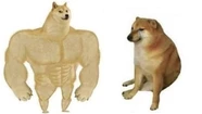 "Perro grande, perro chico" es uno de los memes más memorables de "Cheems".