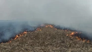 Incendio de grandes dimensiones en un campo ubicado en el camino rural "El Chajá"