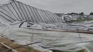 Productores sufrieron daños millonarios por el temporal: "Se perdieron años de trabajo de un saque"