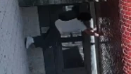 Video: un preso escapó de la cárcel trepando a lo Spiderman