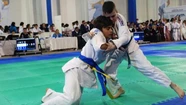 El judo de Mar del Plata proyecta su unificación