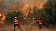 Incendios forestales: aseguran que "urge" la creación de un plan de prevención