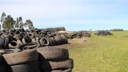 Reciclan 4.000 neumáticos en Lobería: serán reutilizados en caminos rurales