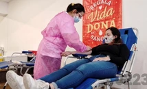 Nueva colecta de sangre y de donación de médula ósea en Mar del Plata