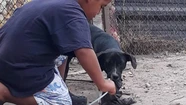 Román padece autismo y perdió a Titán, su perro: pide ayuda para recuperarlo