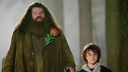 Coltrane se instaló en el corazón de los fanáticos al darle vida al querido profesor Rubeus Hagrid.