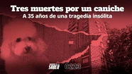 A 35 años de la noticia argentina más insólita: un caniche cayó de un piso 13 y "mató" a 3 vecinos