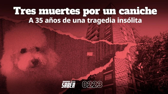 A 35 años de la noticia argentina más insólita: un caniche cayó de un piso 13 y "mató" a 3 vecinos