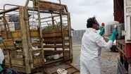 Cerca de 4.000 envases de productos fitosanitarios fueron perforados en Ayacucho para su inutilización. 