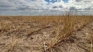 Califican de “dramática” e “inédita” la situación por la sequía