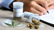 Cannabis medicinal: crean en el Concejo Deliberante de Tandil una mesa intersectorial