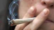 El gobierno nacional analizará la despenalización del consumo de marihuana