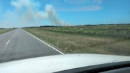 Un incendio forestal se desató en la localidad de Mar Azul