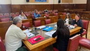 La Red de Redes expuso ante la Comisión de Salud del Concejo Deliberante. Foto: Prensa HCD.