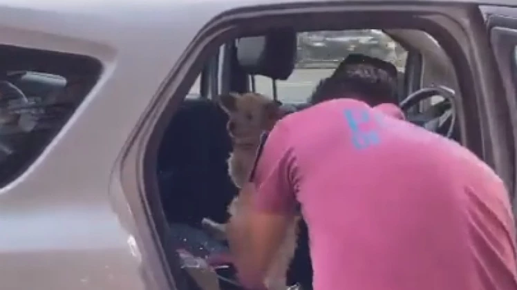 Video: dejó a su perro en el auto con 35 grados, un policía rompió el  vidrio y lo rescató | 0223