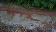 Denuncian que harinera arroja desechos a la Reserva del Puerto